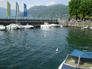 Luino